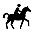 Escursioni a cavallo