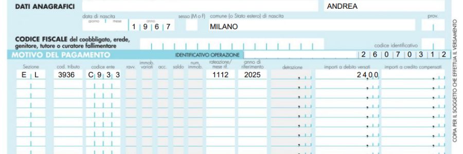 Tasse di Soggiorno con F24